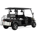 400CC 4 places Panier de golf Efi Camo